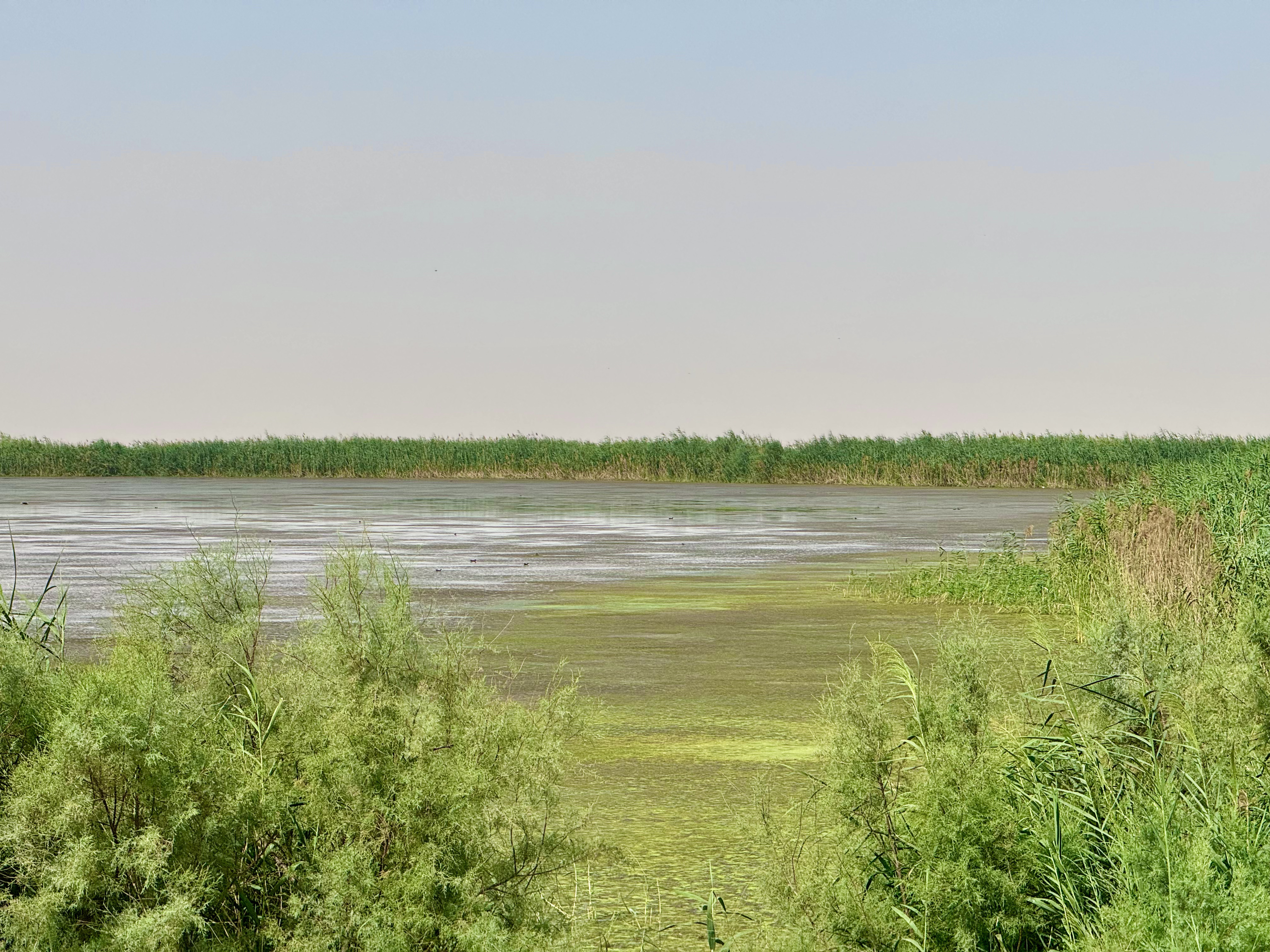 Irkaya-Reserve Photo 1
