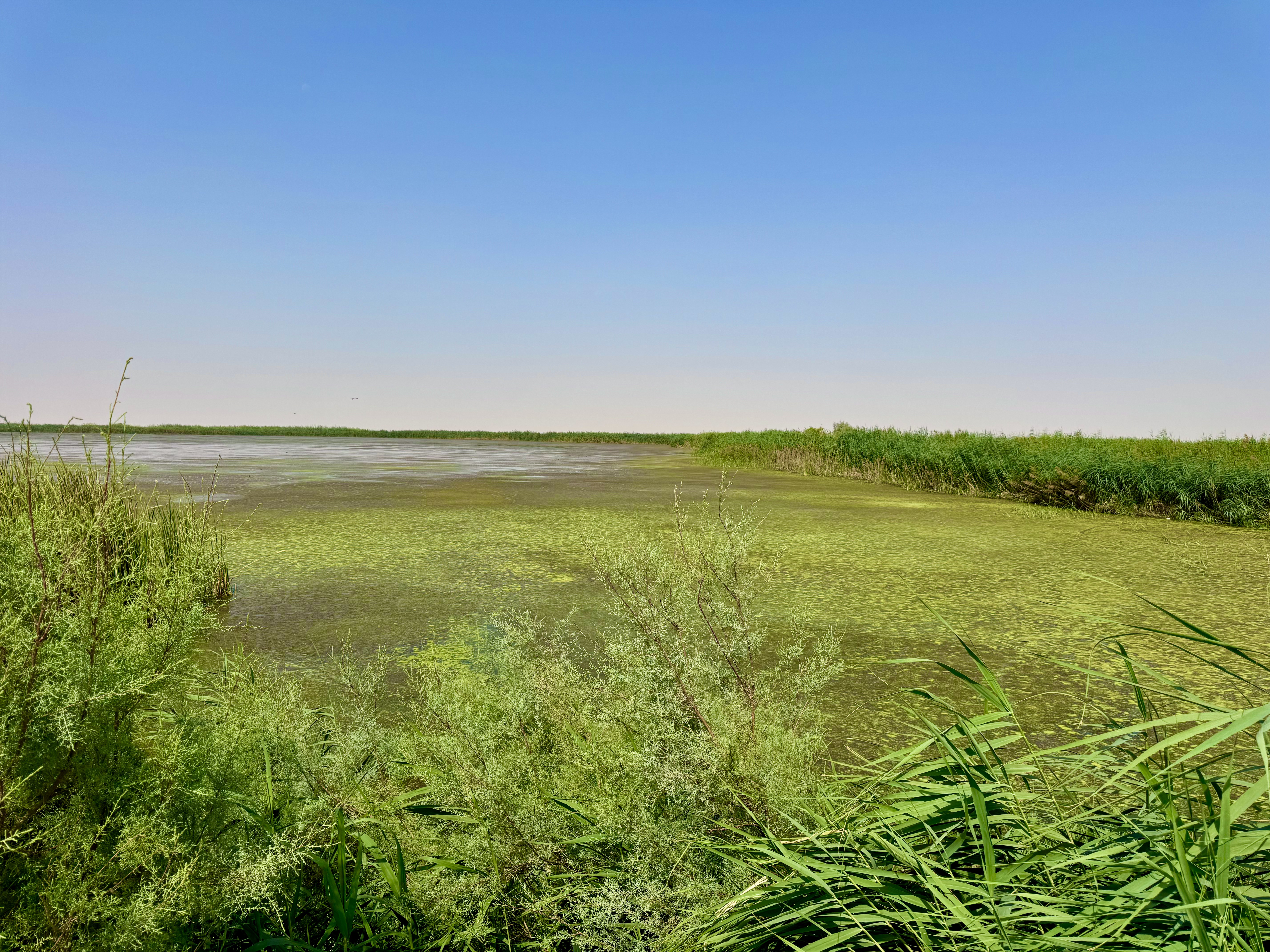 Irkaya-Reserve Photo 2