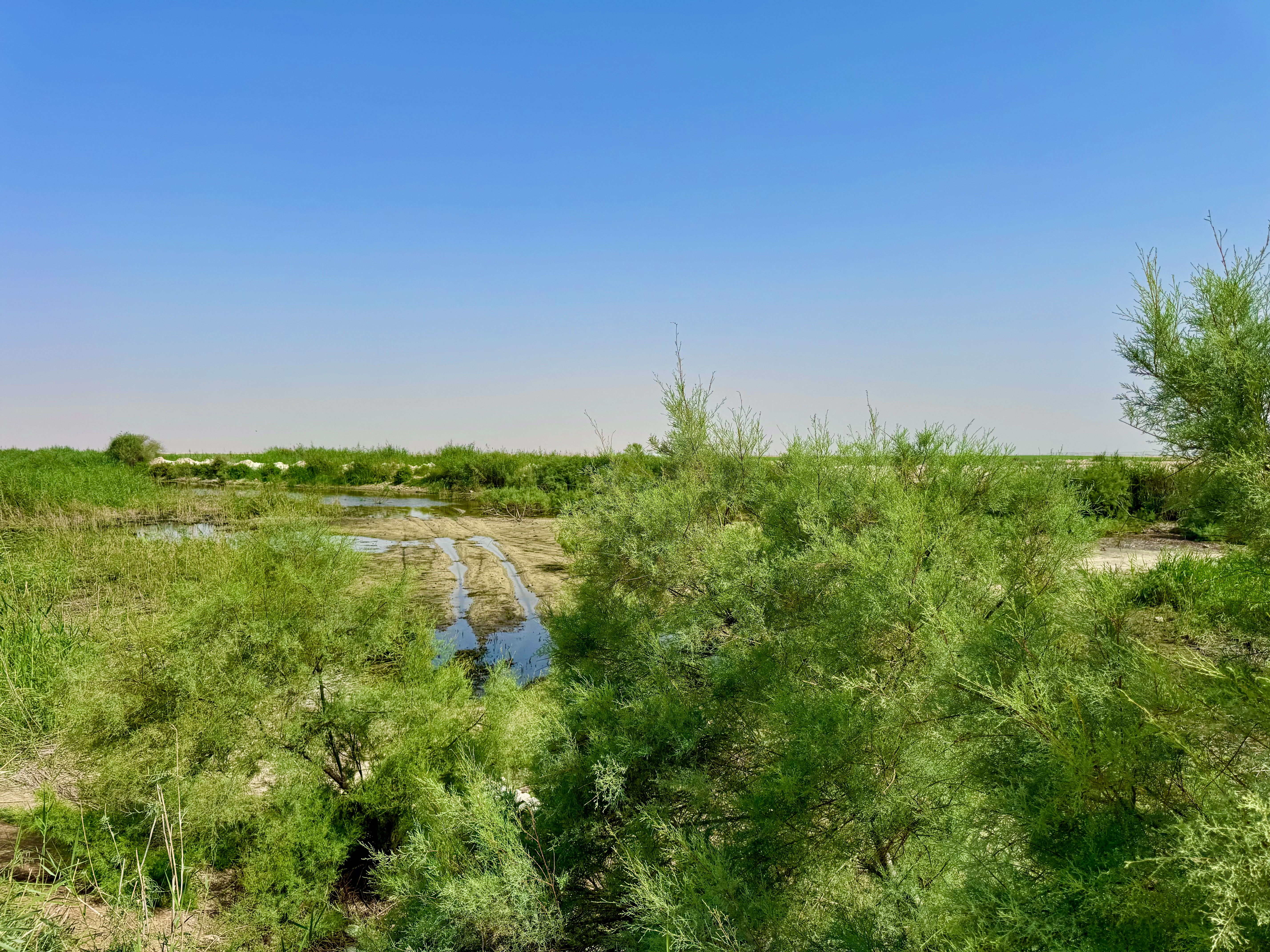 Irkaya-Reserve Photo 5