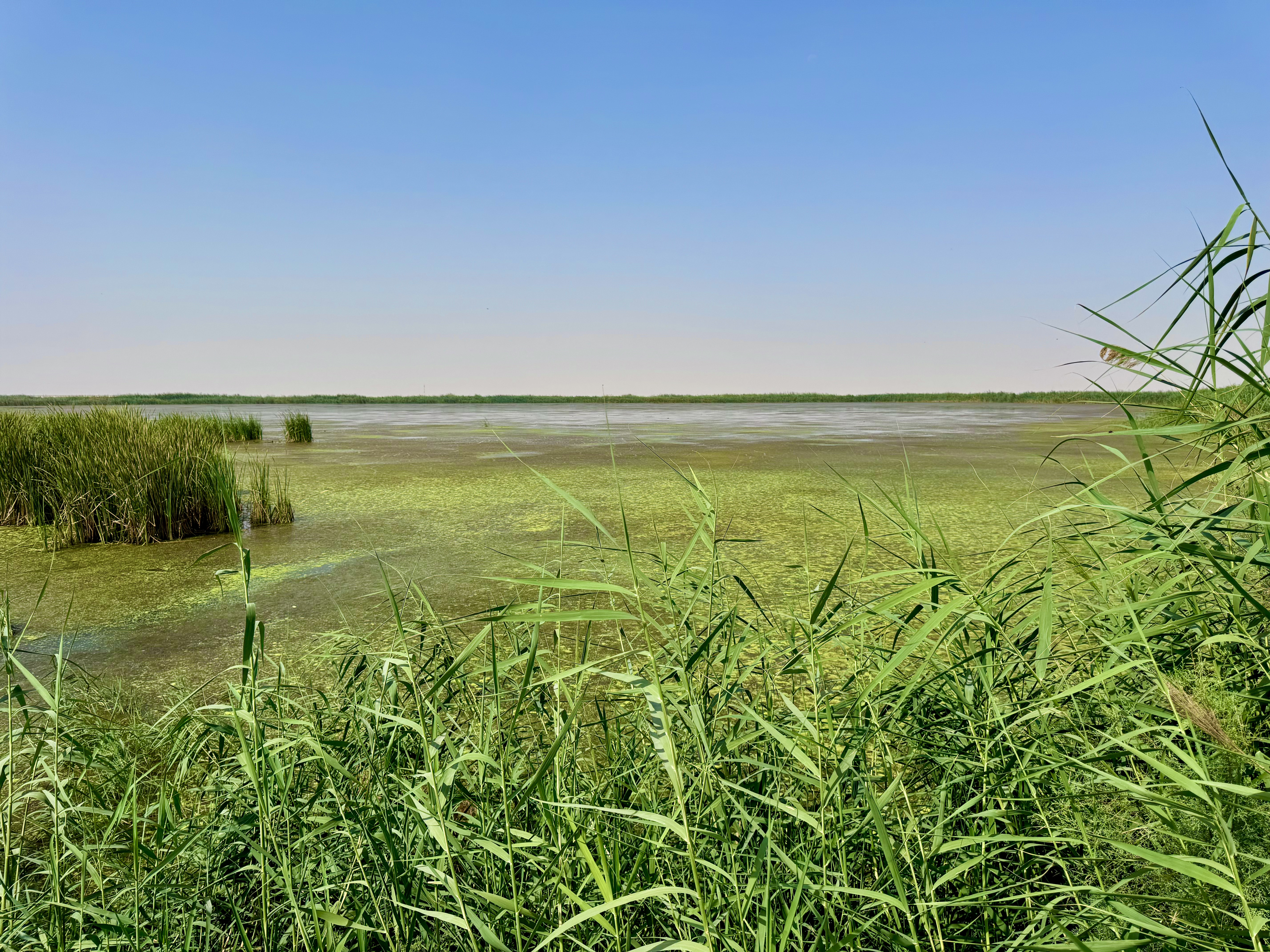 Irkaya-Reserve Photo 8