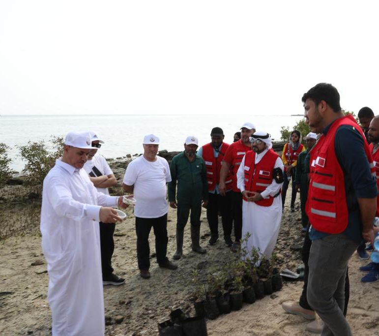 Volunteers from Qatar Red Crescent and a number of officials and specialists in the Wildlife Development Department